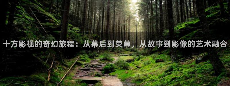 人人视频下载