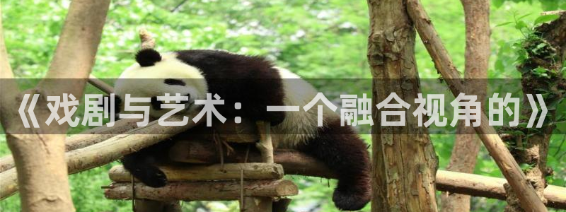 片久久人人爽：《戏剧与艺术：一个融合视角的》