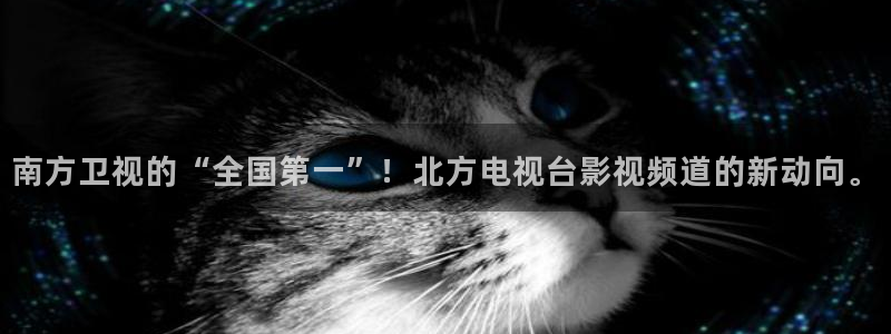 甄执  人人影视：南方卫视的“全国第一”！北方电视台影视频道的新动向。