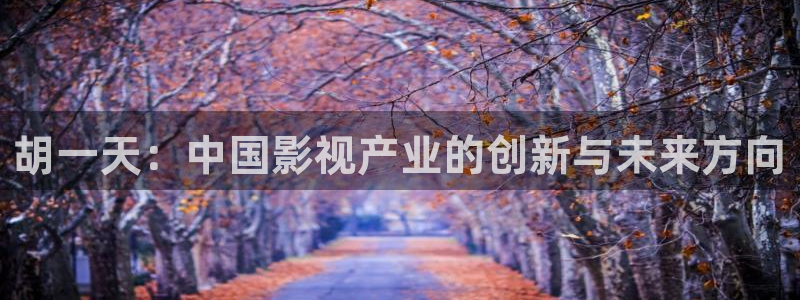 人人交视频