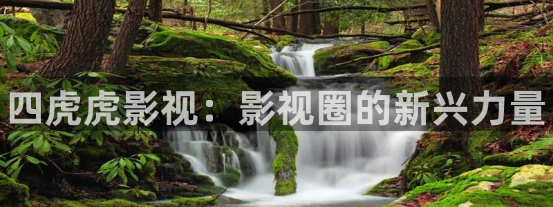 人人影院影院：四虎虎影视：影视圈的新兴力量