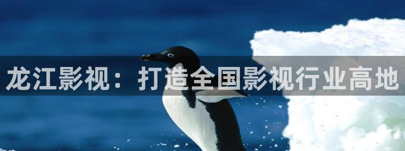 久久添人人爽人人片aⅴ：龙江影视：打造全国影视行业高地