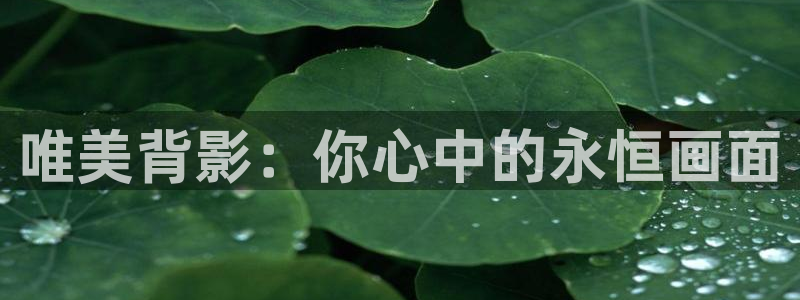 人人电影网免费收看