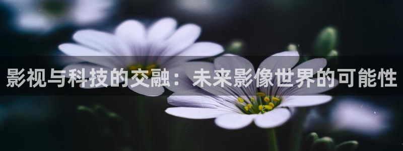 人人看欧美片