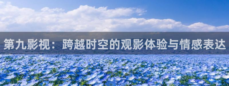 人人影剧：第九影视：跨越时空的观影体验与情感表达